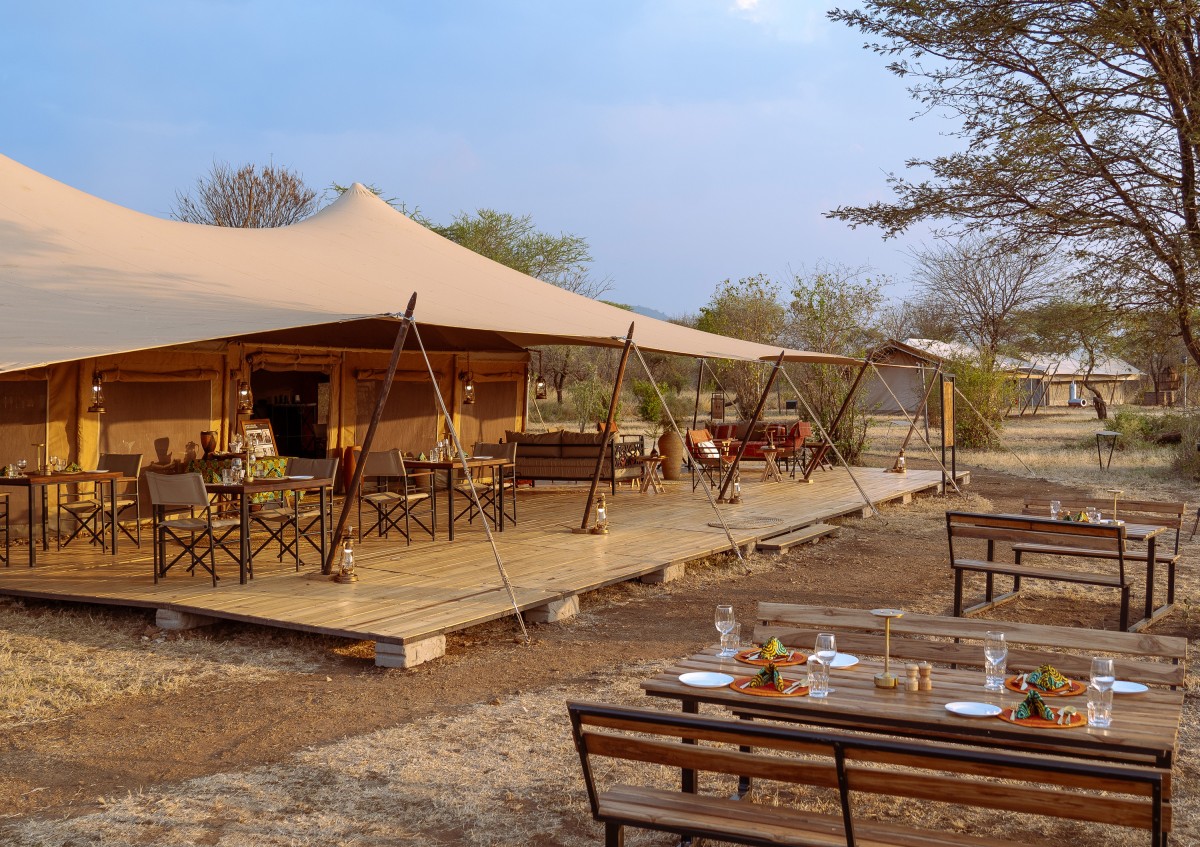 Whisper Serengeti